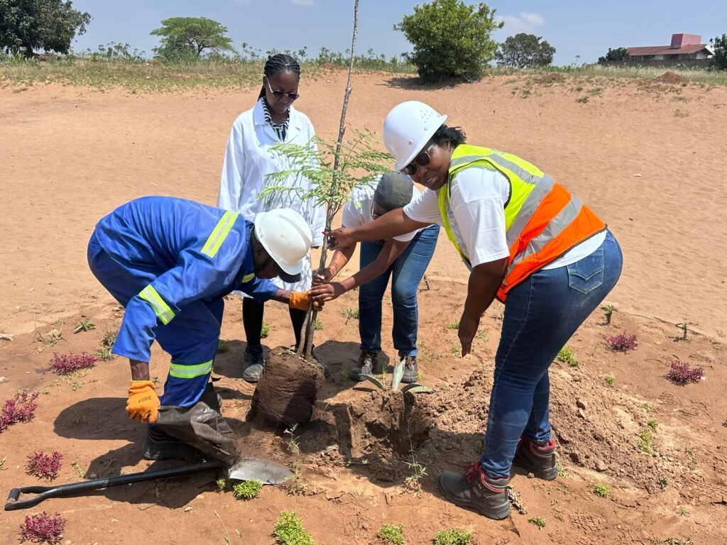 PROJECTO MOVE TRANSFORMA ESTRADAS URBANAS COM A ARBORIZAÇÃO EM MASSA DAS QUICKWINS NA MATOLA!
